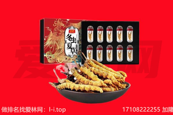 忻州岢岚县回收虫草.jpg